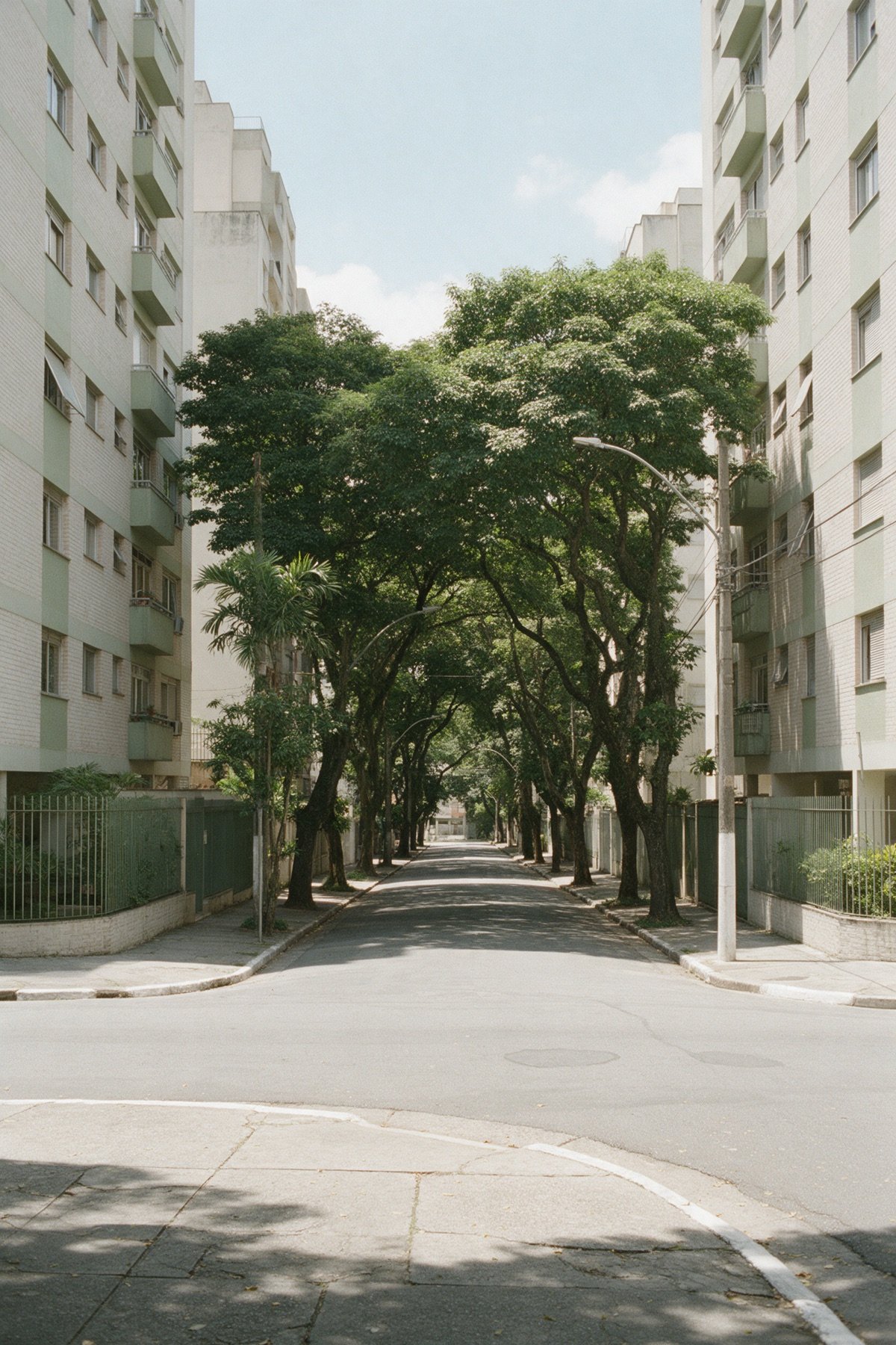 Rua residencial arborizada vista da esquina, com prédios de apartamentos de fachada clara dos dois lados e copas de árvore cobrindo o asfalto Rua residencial arborizada vista da esquina, com prédios de apartamentos de fachada clara dos dois lados e copas de árvore cobrindo o asfalto