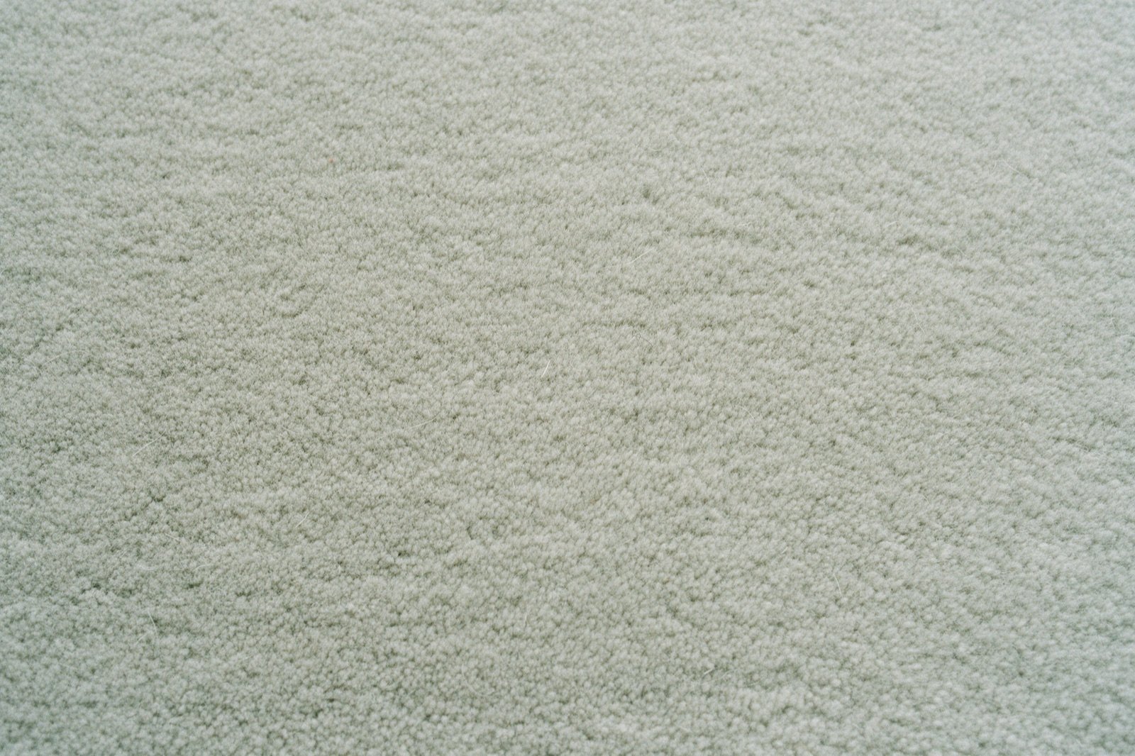 Detalhe de um tapete de lã cinza esverdeado de pelo curto e fosco, com alguns fios soltos de lã sobre a superfície Detalhe de um tapete de lã cinza esverdeado de pelo curto e fosco, com alguns fios soltos de lã sobre a superfície